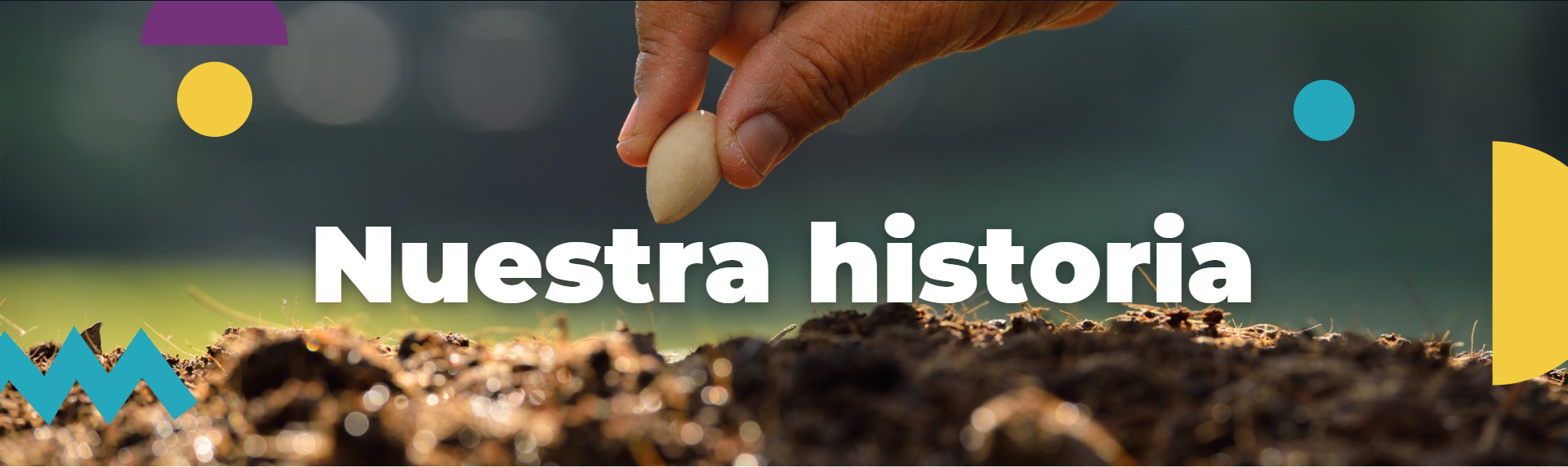 Imagen de Portada de Sección "Nuestra Historia" - Mano plantando semilla