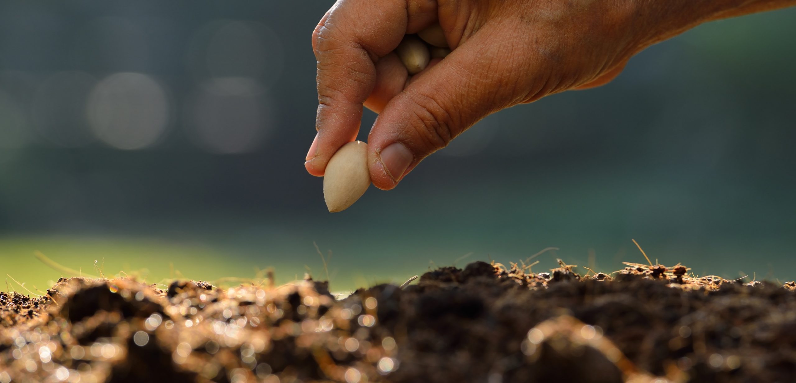 Imagen de portada de sección "Nuestra historia" en donde se visualiza la mano de una persona plantando una semilla en la tierra