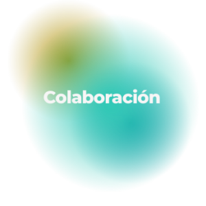 Círculos-Principios-individuales-_-Colaboración